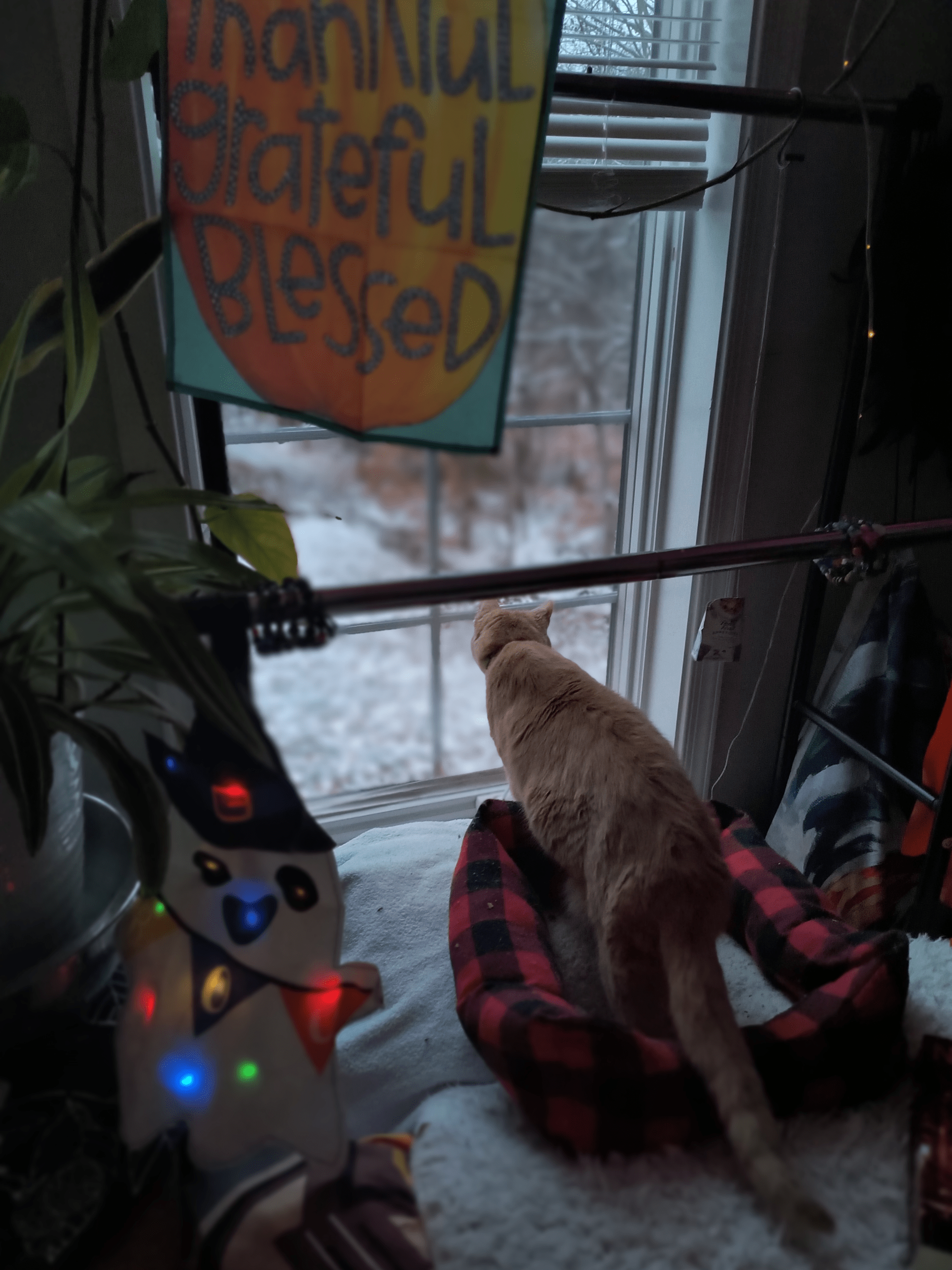 - Morgan Plantagenet: Ancestral Cryptology News