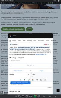 - Morgan Plantagenet: Ancestral Cryptology News