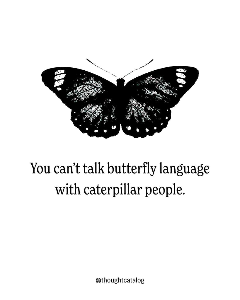 - Morgan Plantagenet: Ancestral Cryptology News