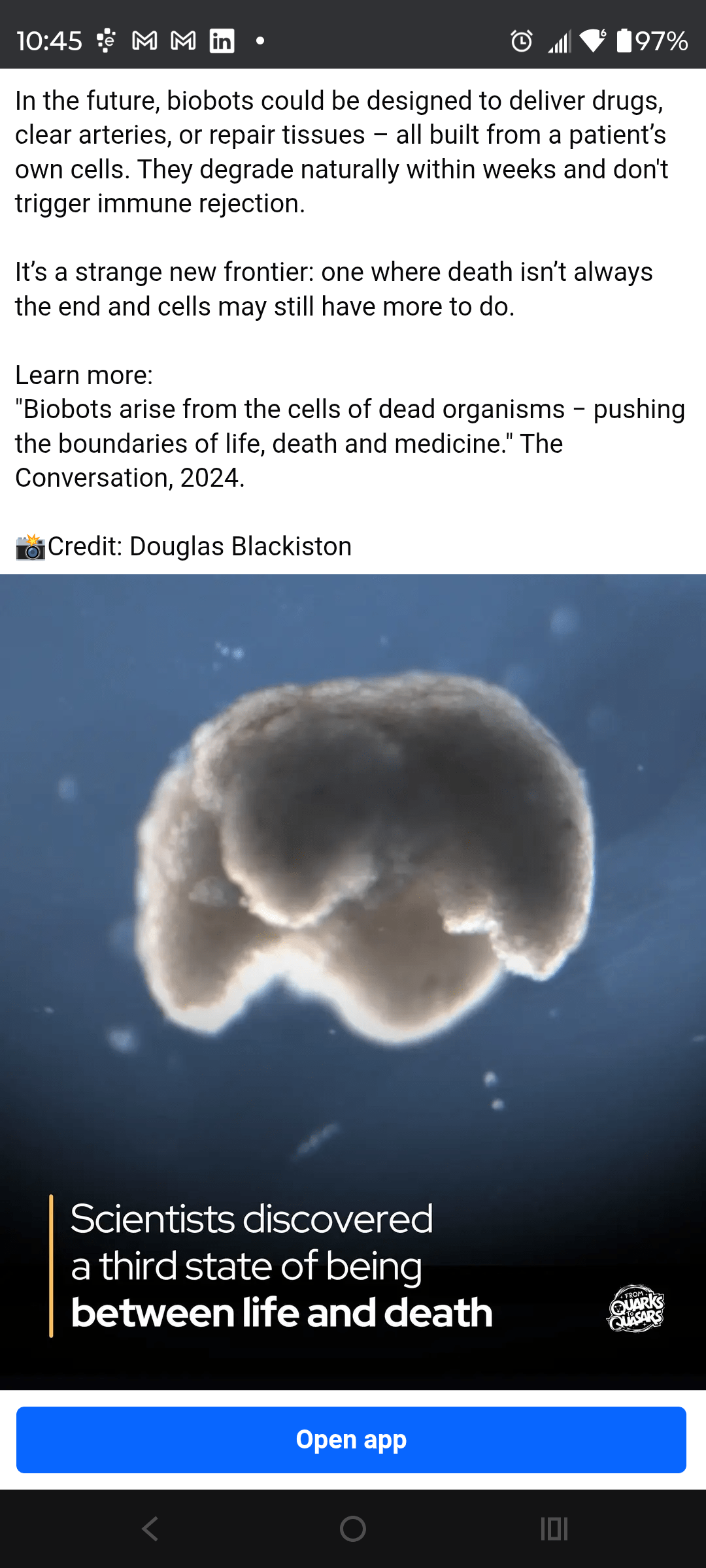 - Morgan Plantagenet: Ancestral Cryptology News