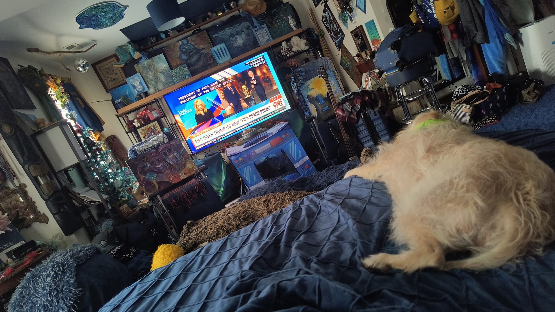 - Morgan Plantagenet: Ancestral Cryptology News