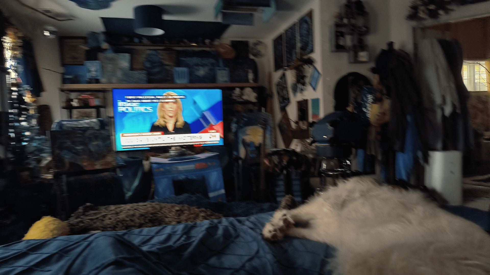 - Morgan Plantagenet: Ancestral Cryptology News