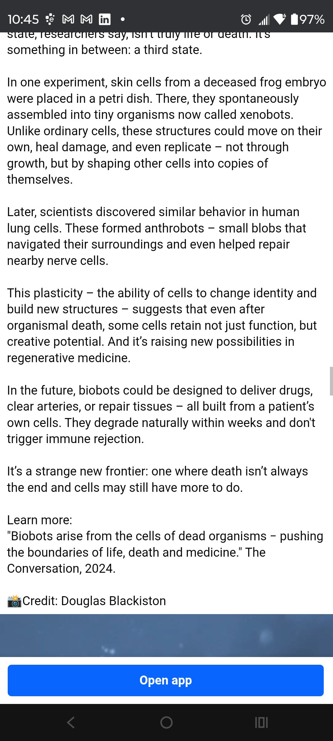 - Morgan Plantagenet: Ancestral Cryptology News