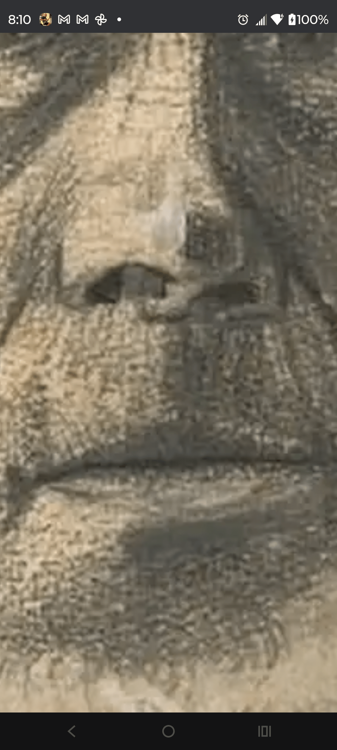 1000126398 - Morgan Plantagenet: Ancestral Cryptology News 1000126398