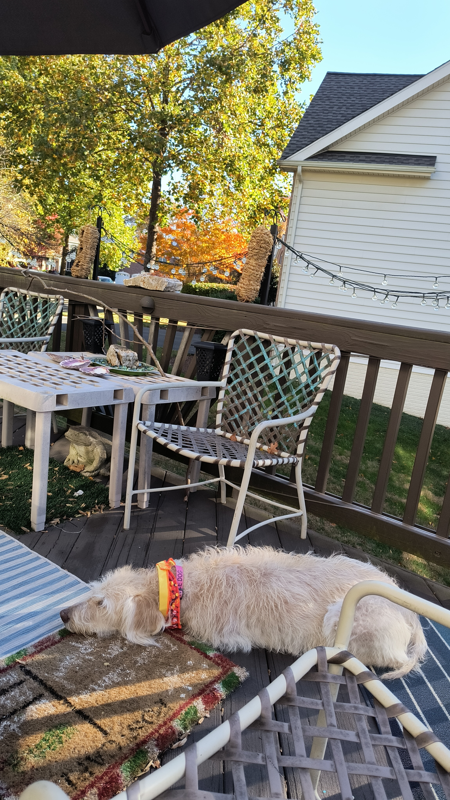 1000125987 scaled - Morgan Plantagenet: Ancestral Cryptology News 1000125987 scaled