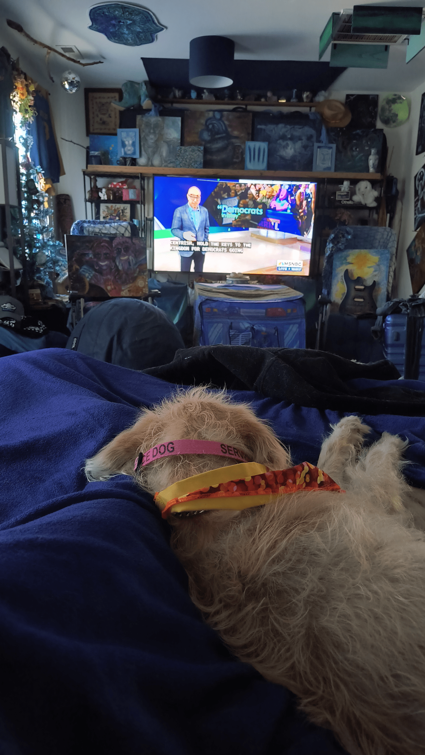 1000126217 scaled - Morgan Plantagenet: Ancestral Cryptology News 1000126217 scaled